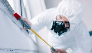 Best Real Estate Pest Inspections  in Weimar, TX